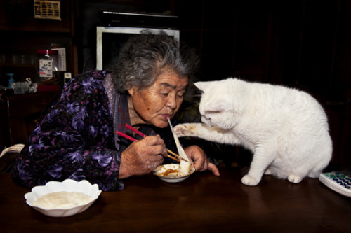 Tình bạn cảm động của bà lão 88 tuổi và mèo Grand5-jpg_035320
