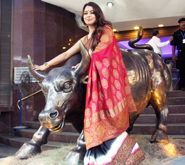 Mahima: Taming the bull?