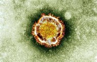 Imagem do coronavirus vista de um microscópio