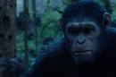 21st Century Fox Bests Competition with Dawn of The Planet of The Apes