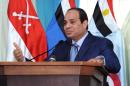 A picture released on November 3, 2014 by the Egyptian Presidency shows President Abdel Fattah al-Sisi