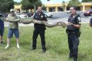 Handout of Port St. Lucie police officers displaying a captured 12-foot Burmese Python in Port St. Lucie