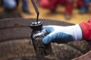 A worker collects crude oil sample at an oil well operated by Venezuela's state oil company PDVSA in Morichal