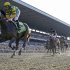 Palace Malice, left, ridden by jockey Mike Smith, crosses the finish line to win the 145th Belmont Stakes horse race at Belmont Park Saturday, June 8, 2013, in Elmont, N.Y. (AP Photo/Julio Cortez)