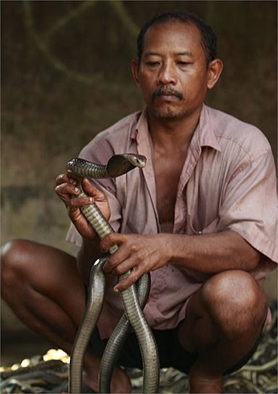 Thâm nhập ngôi làng giết rắn lớn nhất thế giới
