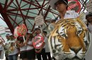 Thai activists hold posters urging people to stop the trading of tigers during the Convention on International Trade in Endangered Species, or CITES, in Bangkok Sunday, March 3, 2013. How to slow the slaughter and curb the trade in "blood ivory" will be among the most critical issues up for debate at the 177-nation Convention on International Trade in Endangered Species, or CITES, that gets under way Sunday in Bangkok. And the meeting's host, Thailand, will be under particular pressure to take action. (AP Photo/Sakchai Lalit)