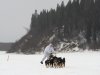 Four-time Iditarod champion Martin Buser drives his dog team up the Yukon River after leaving the checkpoint in Anvik, Alaska, on Friday, March 8, 2013, during the Iditarod Trail Sled Dog Race. (AP Photo/Anchorage Daily News, Bill Roth)