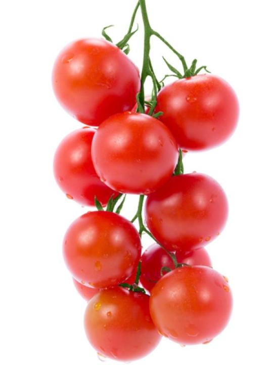tomato calories