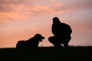救助犬忠心耿耿，遺言感人催淚。（圖／ iStockphoto）