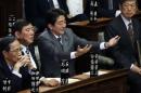 File picture shows then incoming Japanese Prime Minister and LDP leader Shinzo Abe gesturing as he takes his seat at the Lower House of the Parliament in Tokyo