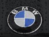 A logo of BMW is pictured before the German luxury carmaker BMW annual shareholders meeting at the company's headquarters in Munich