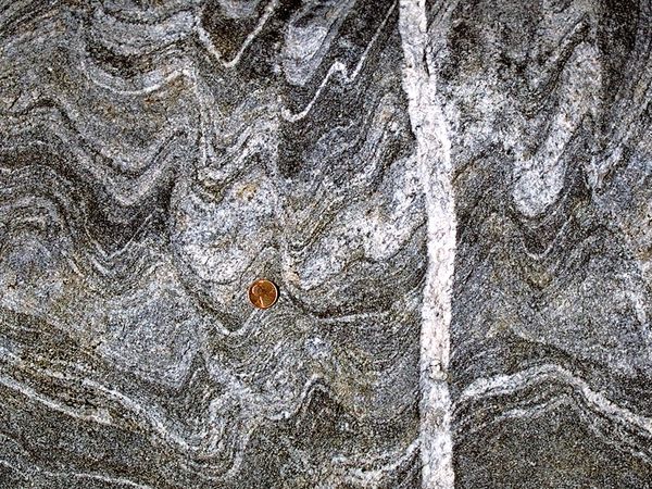 Gneiss Lines