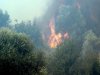 Σε εξέλιξη πυρκαγιά στην περιοχή Τζάνες Μεσσηνίας