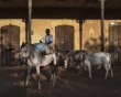 A boy rides a horse in front of a colonial-era train station in disuse in the village of Ndande
