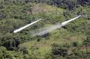 FILE - In this Dec. 11, 2006, file photo, two AT- 802 planes are seen fumigating coca fields in San Miguel, Colombia. Cultivation of the leaf used to make cocaine skyrocketed in 2014 in Colombia, according to a new White House report released partially on Monday, May 4, 2015, that's likely to pressure the government to preserve a threatened U.S. aerial eradication program that's been at the heart of the drug war for over a decade. (AP Photo/Fernando Vergara, File)