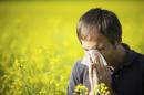 US approves novel remedy for hayfever, pollen allergies