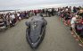 People gather around a humpback whale that beached itself in White Rock