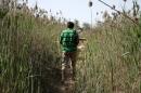 A rebel fighter walks with his weapon through weeds in the northeastern city of Deir Ezzor, on March 28, 2014