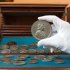 Forgotten Treasure: Library Janitor Discovers Silver Coin Cache
