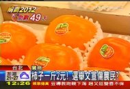 綠爆甜柿一斤2元　農會憂「口賤傷農」