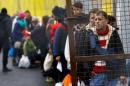 Migrants wait to cross the border from Slovenia into Spielfeld in Austria