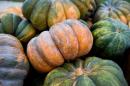 A woman arriving at Montreal's airport was handed over to Canadian federal police on Thursday after a search of her luggage found cocaine stashed inside Halloween pumpkins