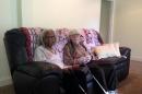 This photo taken Aug. 5, 2014 shows 96-year-old Edith Hill and 95-year-old Eddie Harrison in their home in Annandale, Va. The two have been companions for more than a decade after a Hollywood-style meet-cute _ they struck up a conversation while standing in line for lottery tickets, with one of the tickets turning into a $2,500 winner. They married earlier this year, with a 95-year-old church elder presiding over the ceremony, no less. (AP Photo/Matthew Barakat)