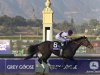 Royal Delta, ridden by jockey Mike Smith, crosses the finish line to win the Breeders' Cup Ladies' Classic horse race, Friday, Nov. 2, 2012, Arcadia, Calif. (AP Photo/Julie Jacobson)