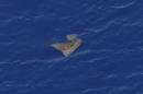 An object floats in the southern Indian Ocean in this picture taken from a Royal New Zealand Air Force P-3K2 Orion aircraft searching for missing Malaysia Airlines Flight 370, Saturday, March 29, 2014. A warship with an aircraft black box detector was set to depart Australia on Sunday to join the search for the missing Malaysian jetliner, a day after ships plucked objects from the Indian Ocean to determine whether they were related to the missing plane. None were confirmed to be from the plane, leaving searchers with no sign of the jet more than three weeks after it disappeared. (AP Photo/Jason Reed, Pool)