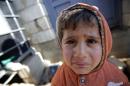 A Syrian child cries as he waits to be registered by the United Nations High Commissioner for Refugees (UNHCR) in Arsal, in Lebanon's Bekaa valley, on November 19, 2013