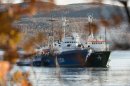 Russia: 5 Greenpeace activists charged with piracy
