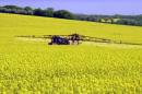Le Sénat limite l'usage de produits phytosanitaires