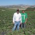 In this photo taken July 9, 2012, Alejandro Ramirez, left, and his son Alejandro Jr., right, pose among the family's hundred acre strawberry field in Salinas, Calif. Ramirez is part of a quiet cultural revolution that has changed the face of the $2.3 billion strawberry industry in California, where most growers today are Latino, a rare occurrence in the world of farming, where most growers of other crops are white. (AP Photo/Gosia Wozniacka)