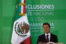 Mexican President Enrique Pena Nieto announces he is sending to Congress a bill to legalize medical marijuana and increase the amount of the drug that can legally be possessed for personal consumption, in Mexico City, on April 21, 2016