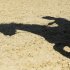 A horse and rider cast a shadow during a training session at Greenwich Park, the site for the equestrian and modern pentathlon events for the 2012 Summer Olympics, Wednesday, July 25, 2012, in London.The city will host the 2012 London Olympics with opening ceremonies scheduled for Friday, July 27. (AP Photo/Markus Schreiber)