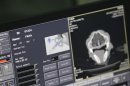 The CT scan of the brain of Fafa, a lioness that is nearly 18-year-old, is seen at a veterinary clinic in Brasilia