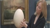 أكبر بيضة في العالم في المزاد العلني قريبا في لندن B9f1bdff77fc9673d1aa9b425f7f3e13