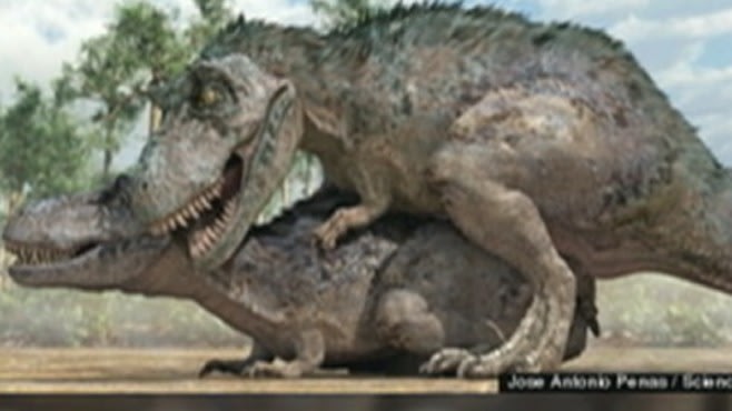 Гигантским динозаврам должно было быть не легко заниматься сексом с