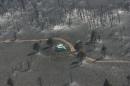 Fire personnel trucks are shown along a road in a burned out area of the Washington Fire near Markleeville, California