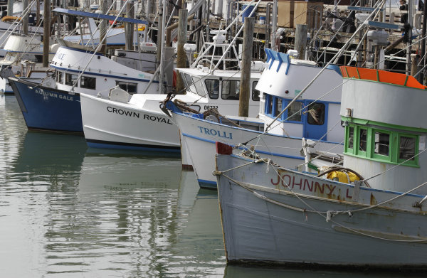 row of fishing boats are shown at Fisherman's Wharf in San Francisco ...