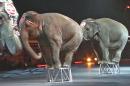 Ringling Brothers Circus Retires Elephant Act
