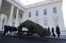 U.S. first lady Obama and her daughters Sasha and Malia welcome the official White House Christmas tree at the North Portico of the White House in Washington