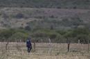 A police officer searches a field for evidence at the Rancho del Sol, a ranch that was the site of clashes between Mexican authorities and a drug cartel, in the municipality of Ecuandureo, Mexico, Saturday, May 23, 2015. The clash was the deadliest confrontation in recent memory, with 42 suspected gang gunmen and one Federal Police officer killed during a three-hour firefight on Friday at this remote western ranch. (AP Photo/Eduardo Verdugo)