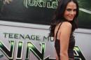 Actress Jordana Brewster attends the premiere of "Teenage Mutant Ninja Turtles" on August 3, 2014 at the Regency Village Theater in Los Angeles