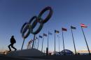 A man poses for a photo beneath the Olympic rings at Olympic Park, prior to the 2014 Winter Olympics, Monday, Feb. 3, 2014, in Sochi, Russia. (AP Photo/Robert F. Bukaty)