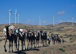 Camels walk along a road near a wind farm in Ethiopia,&nbsp;&hellip;