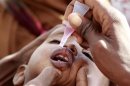 A newly arrived Somali refugee child receives a polio drop at the Ifo extension refugee camp in Dadaab