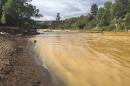 Yellow waste water that had been held behind a barrier near an abandoned mine is seen in the Animas River in Durango, Colorado