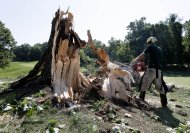A worker uses a chainsaw to clear a tree that fell onto the 14th fairway at Congressional Country Club in Bethesda, Md., Saturday, June 30, 2012, after a strong storm blew through overnight. The AT&T National golf tournament was postponed to allow workers to clear the course. (AP Photo/Patrick Semansky)
