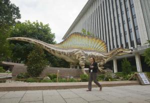 A 50-foot life-size model of a Spinosaurus dinosaur&nbsp;&hellip;